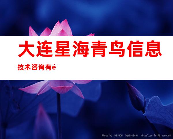 大连星海青鸟信息技术咨询有限公司